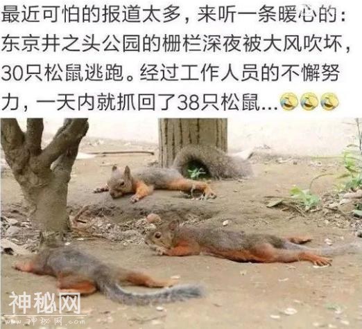 59460004a4db31ffc55c