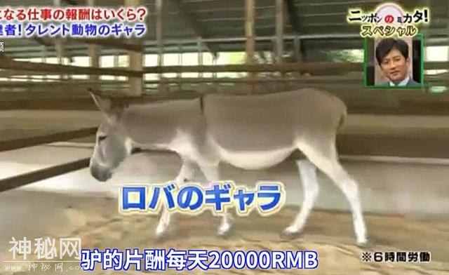 59450003e16fd05cba68