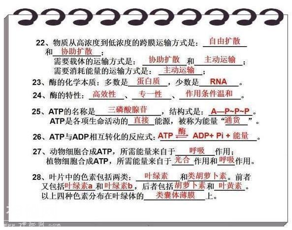 594500048cac4a0308a7