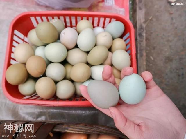 5b4300002d6c5d234825