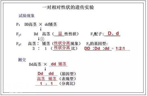 5b4500016885a5c700cc