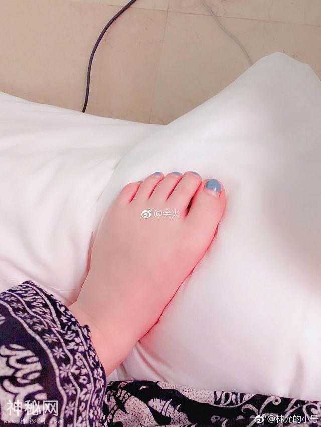 5b4500051f61ae15ed2f