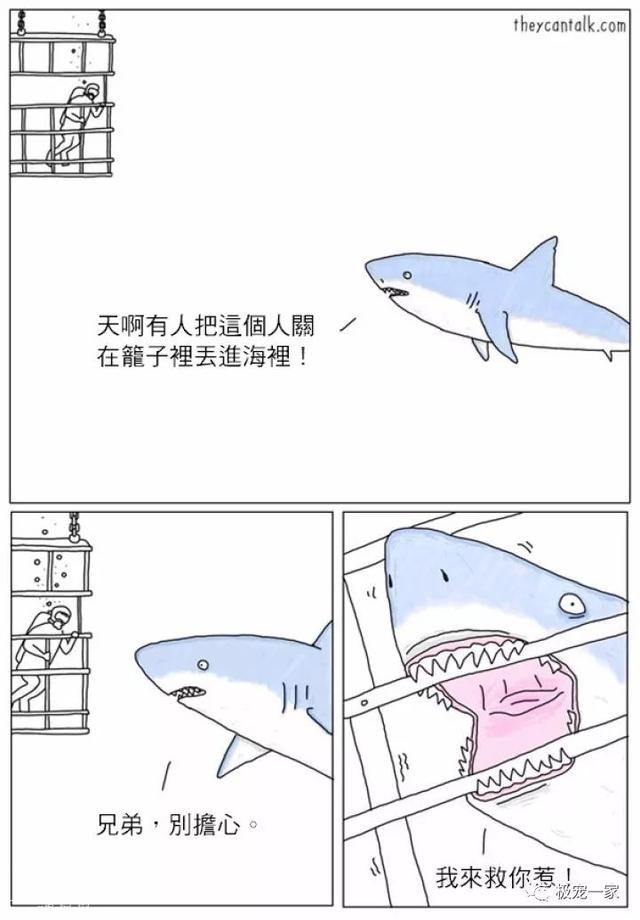 5b480003d53c48c7ea23