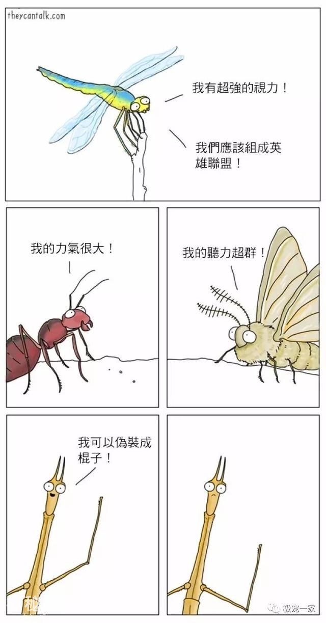 5b4500045f0207d3e6b8