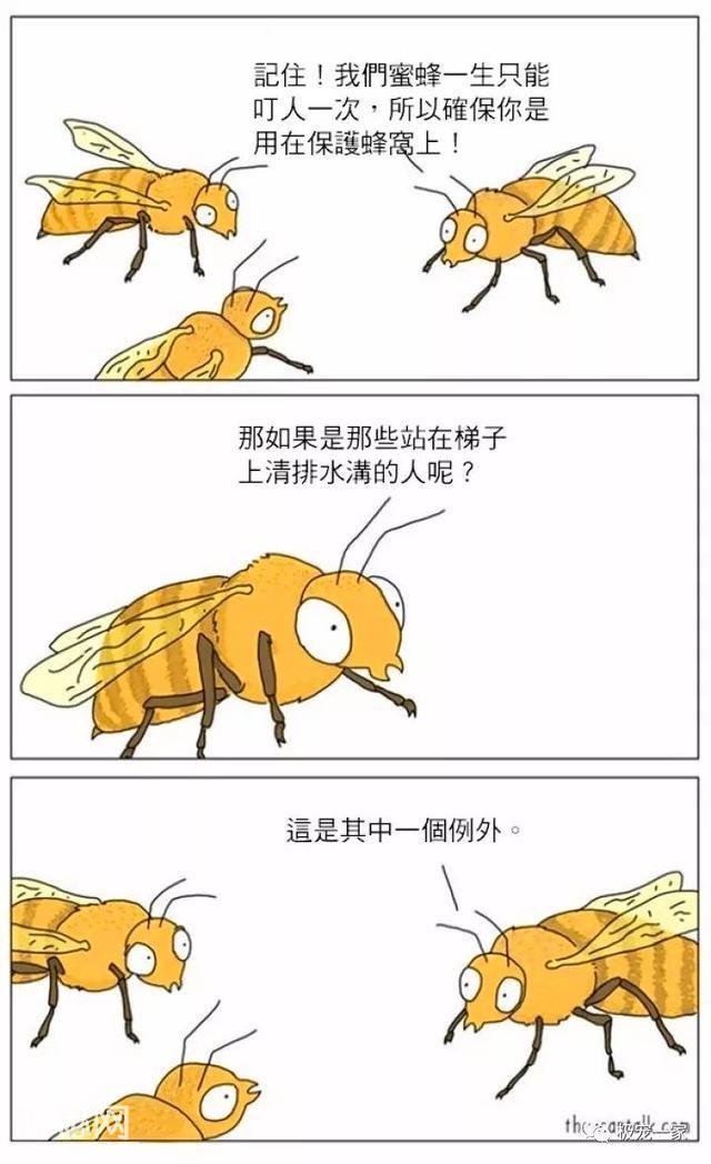 5b4a000197e3b81c30f6