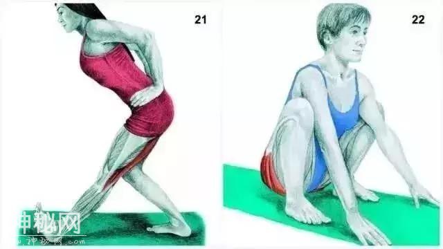5b4a0005abd85053556e