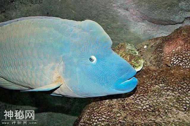 5b4c0003c5d08b68ee9e