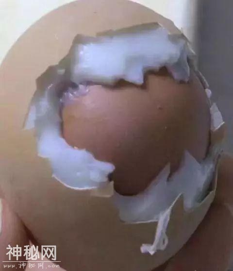 5b5400036665c6113ff5