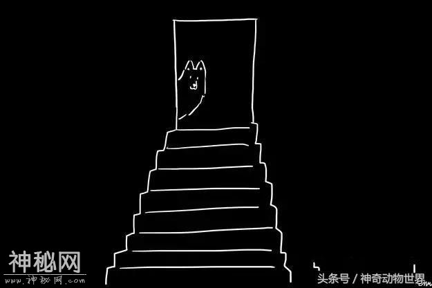 5b57000537cd554f47fa