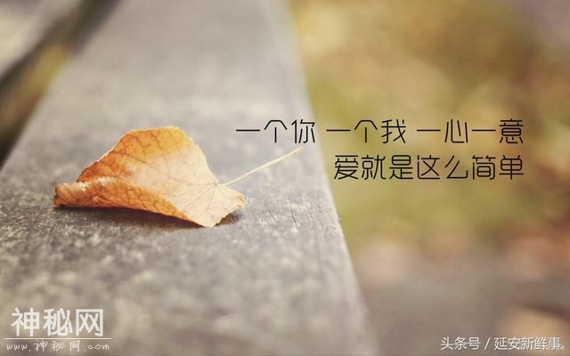 5b5c00005552db70c83c