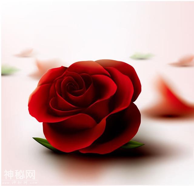 46d80000c2c48fd39f42
