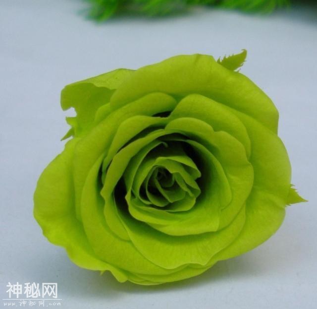 46d70000f58b5216c7fb