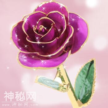 46d6000101bd0db82f83