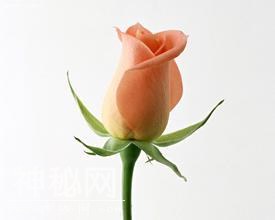 46d70000f673ba199616