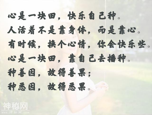 46f800001f8646fa0e84