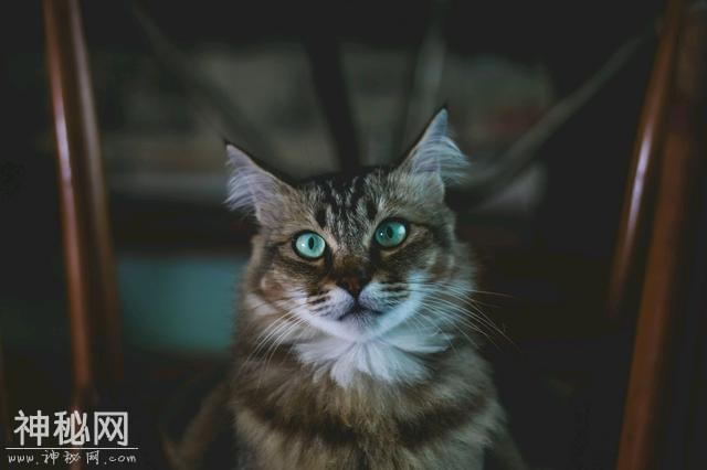 5e800004c41c3e87a615