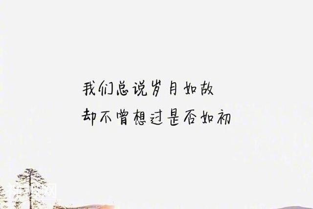 5e7e0004013f5356b12c