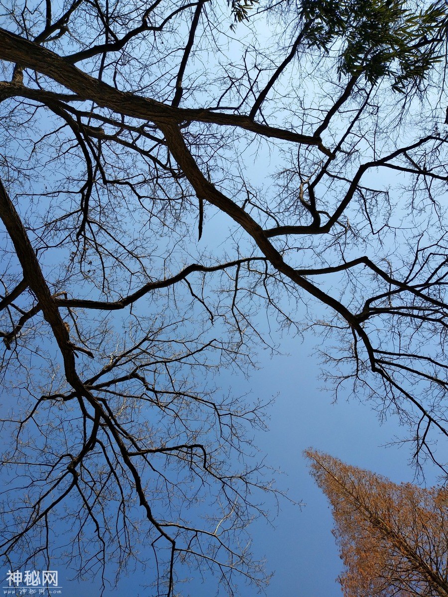 18401545_tt