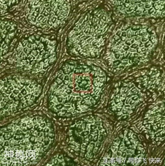 5e82000497653d1dba97