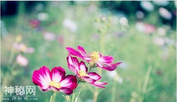 615c00045cd5499bfbd9