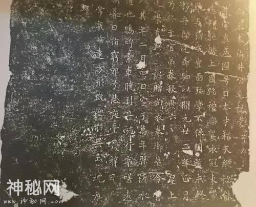 615d0000d8a629c19453