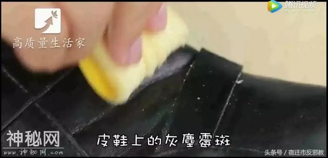 616300003eb36099528c