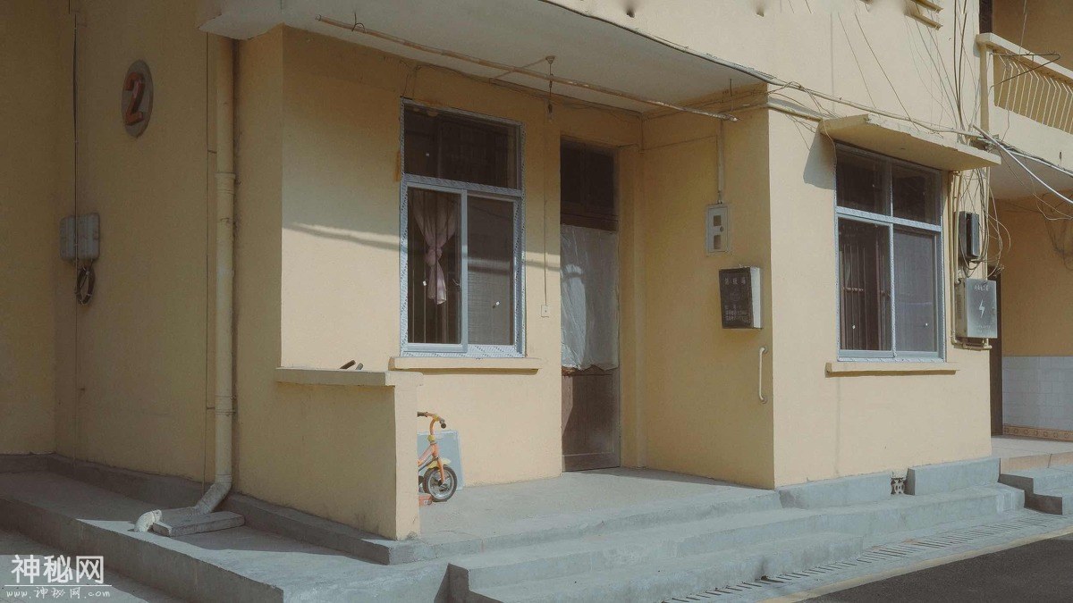 10076532_tt
