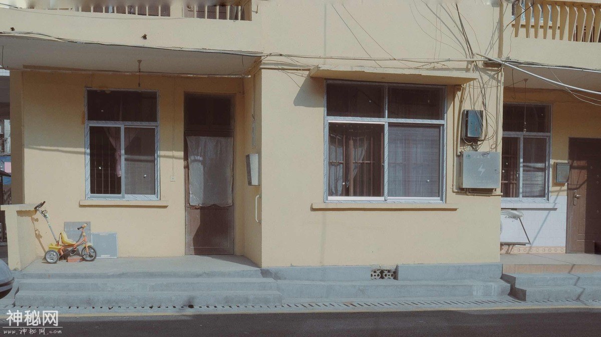 10076533_tt