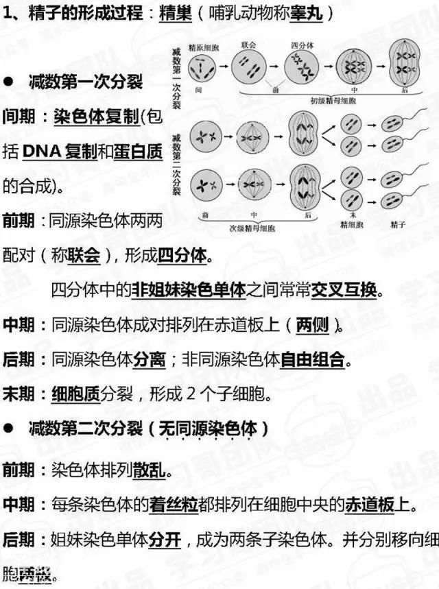 61740001308cd69a474b