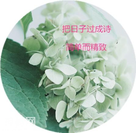 617400011fa3b585e805