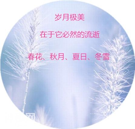 616e0003a839489da608