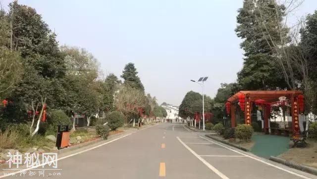 6173000122ed8b548936