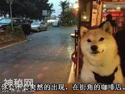 66a700045b6884e1d410