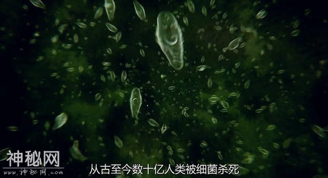 66aa00035031df572a0e