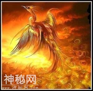 66bc0004d12df1db4a7a