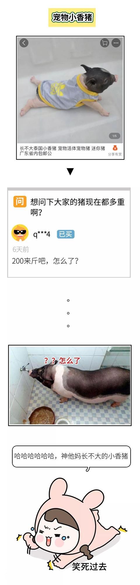 66bf0002b8bf42c9aba1