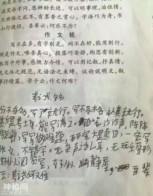 66c4000556769e3a15d8
