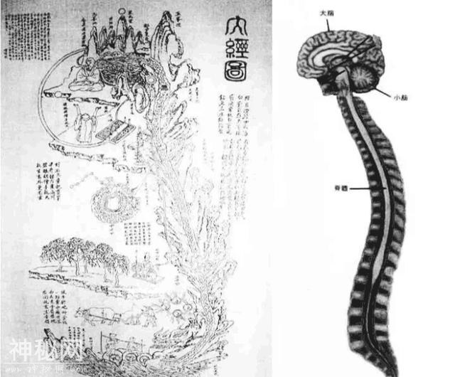 152100633394586603c1700