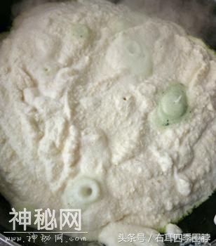 15215158652486cd66d1d02