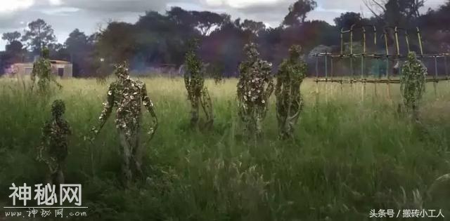 152163876999809432d5dd6