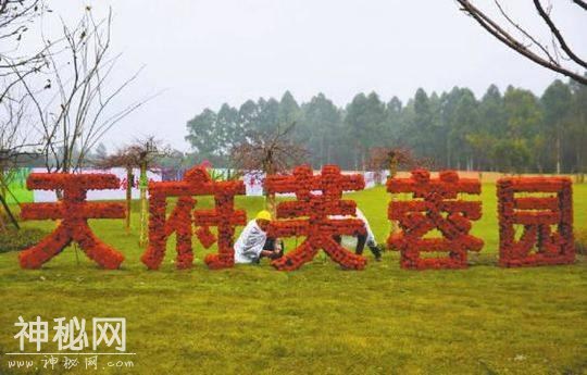 “产业文化地标”网友力推天府芙蓉园 深度发掘蓉城“芙蓉”品牌-1.jpg
