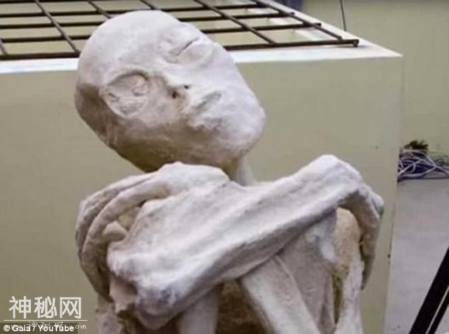 秘鲁古城发现的怪异木乃伊 俄罗斯科学家称确实是外星人-1.jpg