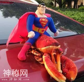 成都车主们注意！交警开始逮“蜘蛛侠”了！-2.jpg