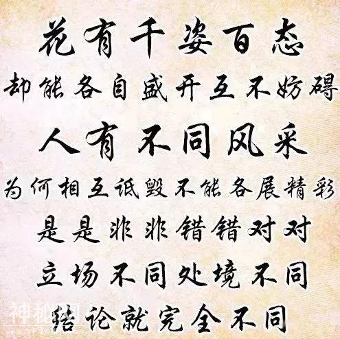 怎么开心怎么活-3.jpg