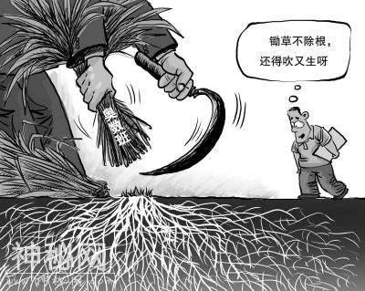 后奥数时代择校改革会怎么改？-3.jpg