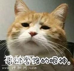 LOL设计师看上去很神秘，其实他们的日常也是如此简单易懂？-1.jpg