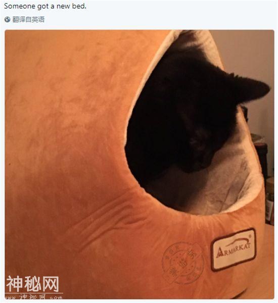 LOL设计师看上去很神秘，其实他们的日常也是如此简单易懂？-5.jpg