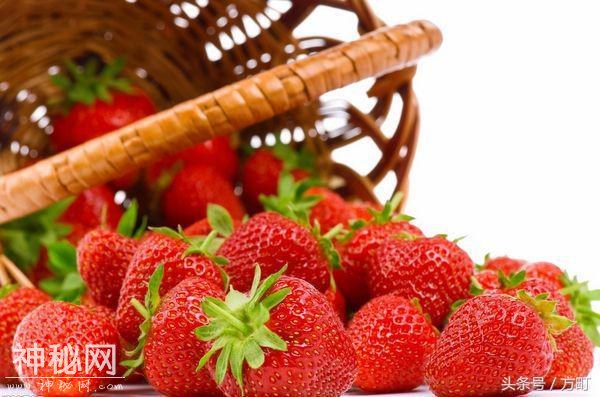中国这四地的草莓，获得国家地理标志保护产品认证，值得莓丝拥有-2.jpg