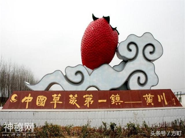 中国这四地的草莓，获得国家地理标志保护产品认证，值得莓丝拥有-7.jpg