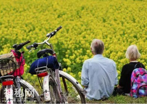 人文医居｜浣花溪畔这家老年医学中心突破了传统设计思路-3.jpg